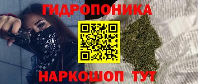 Альфа ПВП Дубна