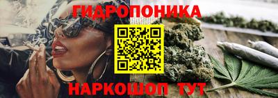 Альфа ПВП Дубна